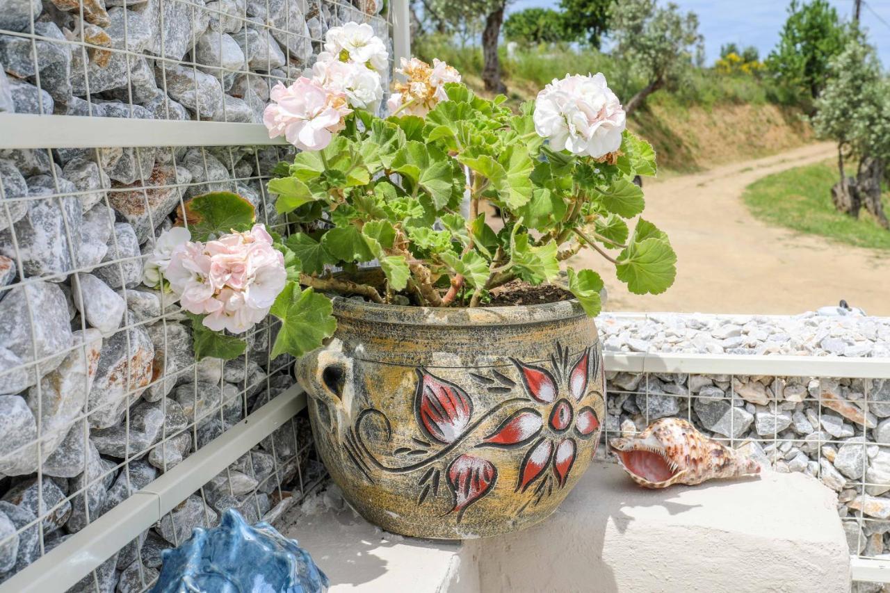 Casa Rozana - Skiathos Exteriér fotografie